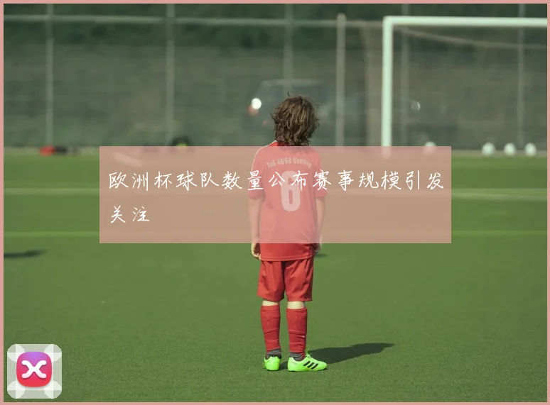 欧洲杯球队数量公布赛事规模引发关注