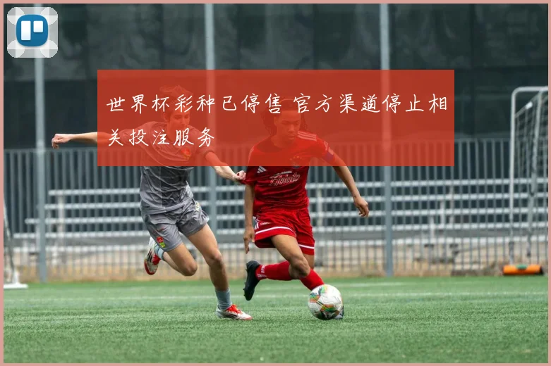 世界杯彩种已停售 官方渠道停止相关投注服务